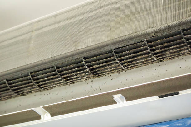 Best HVAC System Cleaning  in Moyock, NC